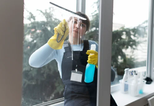 Nettoyage de vitres intérieures et extérieures à Guesnes